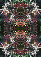 Load image into Gallery viewer, Tapestries; Wall Hangings Throw, Table Cover, Outdoor Throw
