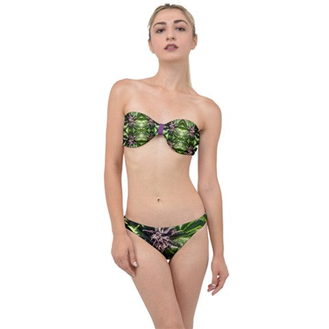 Bandeau Bikini