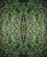 Tapestries; Wall Hangings Throw, Table Cover, Outdoor Throw
