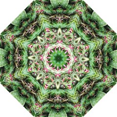 Purple Wonder Umbrella from Cannaflage Designs